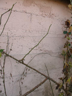 2006_spanndraehte_2.jpg
