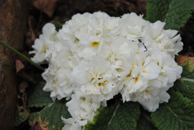 apr 006.jpg