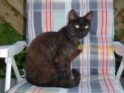 salem_001.jpg