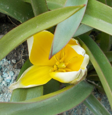 2017-04-09 12.45.46.jpg
