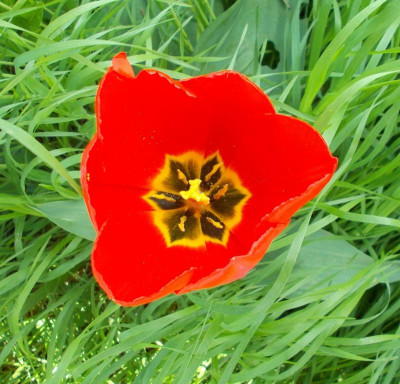 2017-04-09 12.40.53.jpg