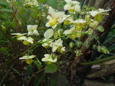 DSCN5185_klein.jpg