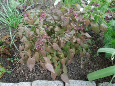 DSCN5179_klein.jpg