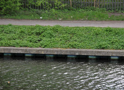 Ufer_Tiergartenschleuse.jpg