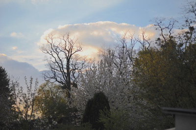Blick nach oben.jpg