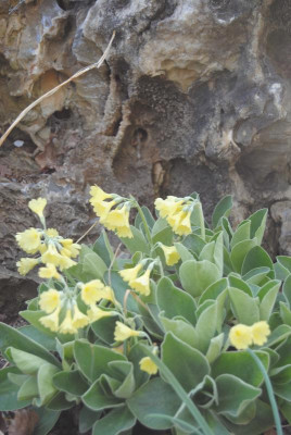 apr 018.jpg