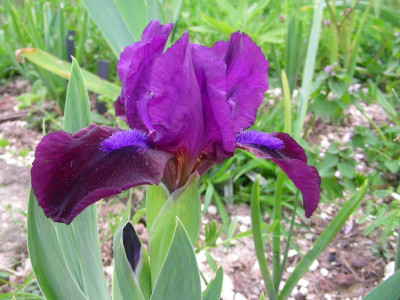 DSCN9011.JPG