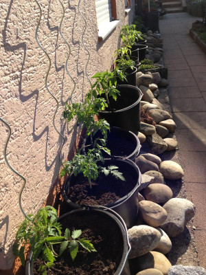 2017-04-10 09.19.11.jpg