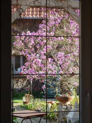 2017-04-13 Garteneinblick.jpg