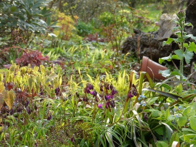 2017-04-13 Gartenimpressionen 2.jpg