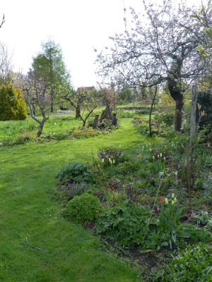 2017-04-14 Garteneinblick 5.jpg