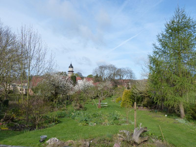 2017-04-14 Garteneinblick 6.jpg