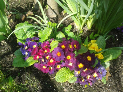 20170414_103243.jpg