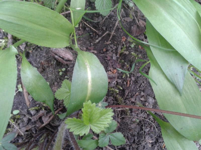 20170414_161027.jpg