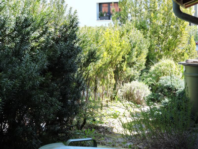 DSCN6970.JPG