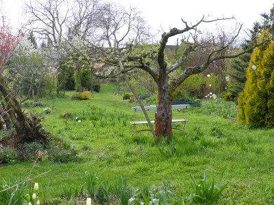 2017-04-15 Garteneinblick 4.jpg