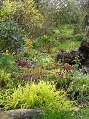 2017-04-15 Gartenimpressionen 2.jpg