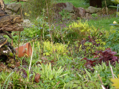 2017-04-15 Gartenimpressionen 6.jpg