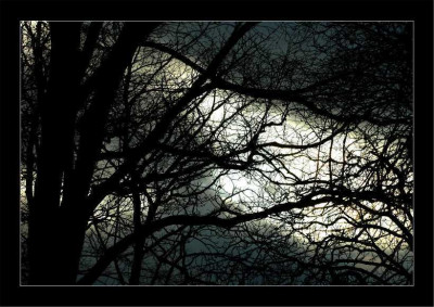 Himmel_1_03-12-2006.jpg