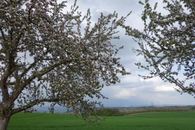 Landschaft.17-4.jpg