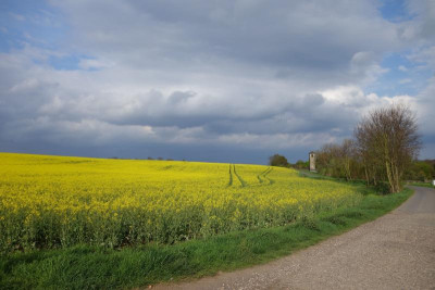 Landschaft.17-10.jpg
