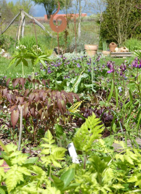 2017-04-16 Gartenimpressionen 1.jpg