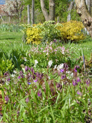 2017-04-16 Gartenimpressionen 2.jpg