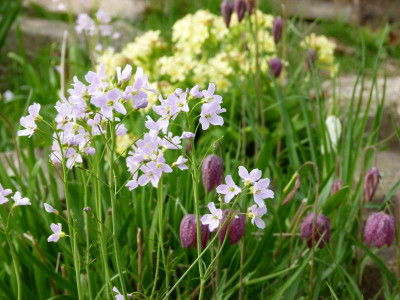 P1100436.JPG