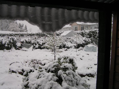 Osterschnee 2017 002.JPG
