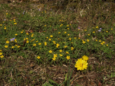 DSCF2081.JPG