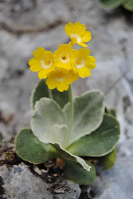 apr 027.jpg