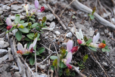 apr 016.jpg