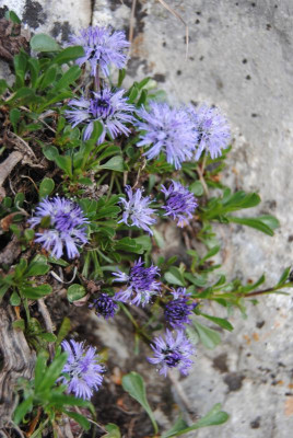 apr 029.jpg