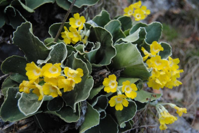 apr 045.jpg