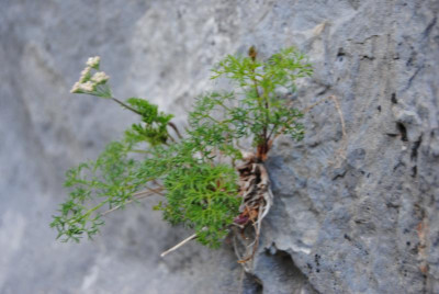 apr 058.jpg