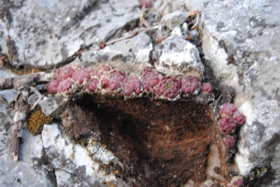 apr 056.jpg