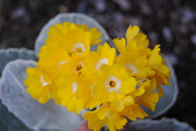 apr 052.jpg