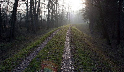 Isar-Auen-10.jpg