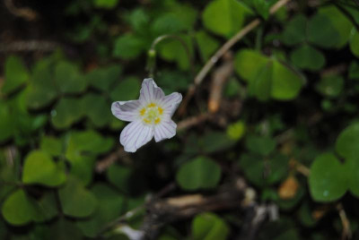 apr 065.jpg