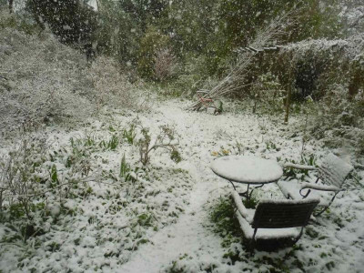 Garten 8 h.jpg