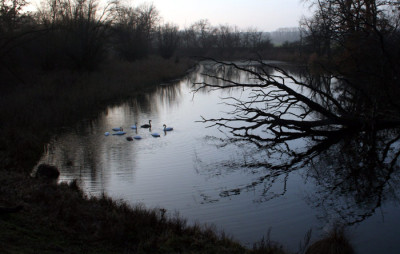 Isar-Auen-13a.jpg