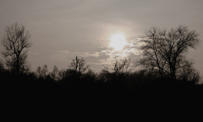 Isar-Auen-14.jpg