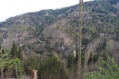 apr 009.jpg