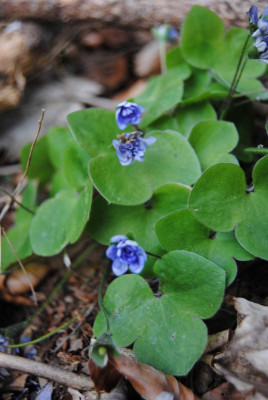 apr 011.jpg