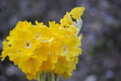 apr 059.jpg