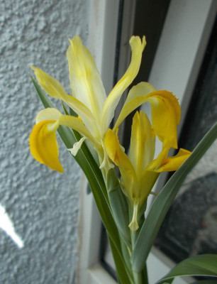 2017-04-09 12.36.39.jpg