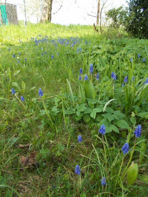 2017-04-09 12.40.06.jpg