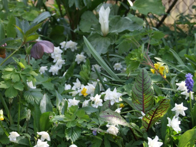DSCF3720.JPG