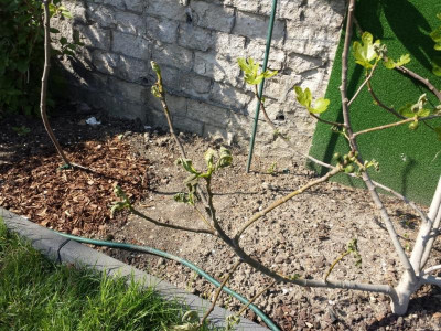 20170420_161726.jpg