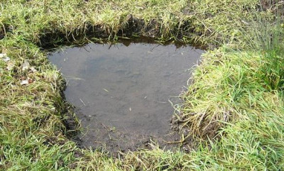 tumpel2.JPG